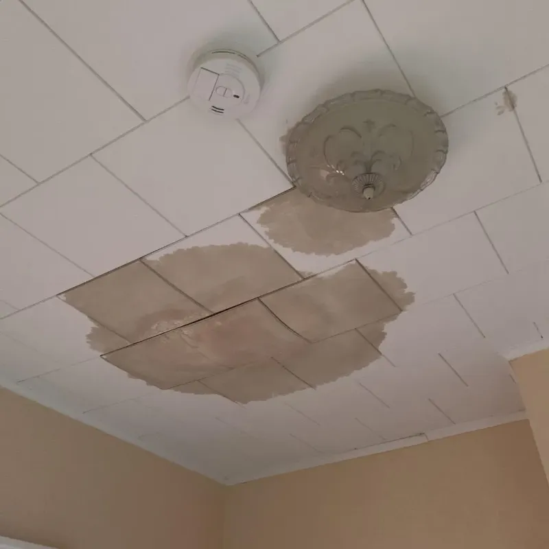 Ceiling Water Damage Repair in West Lafayette, OH