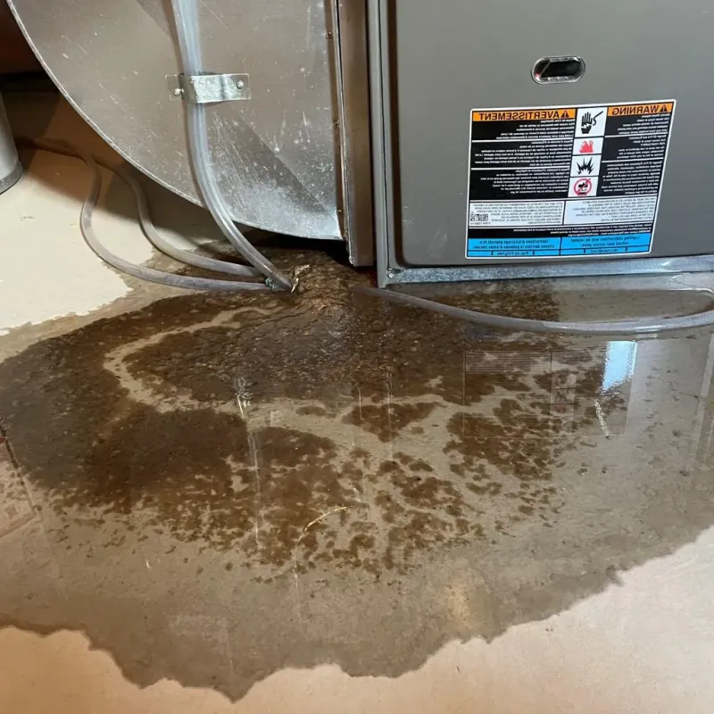 Pipe Burst and Leak Restoration in West Lafayette, OH