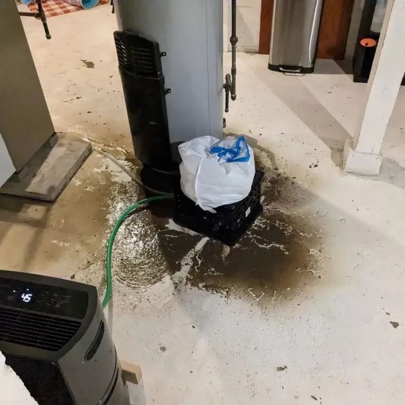 Sewage Backup Cleanup Service in West Lafayette, OH